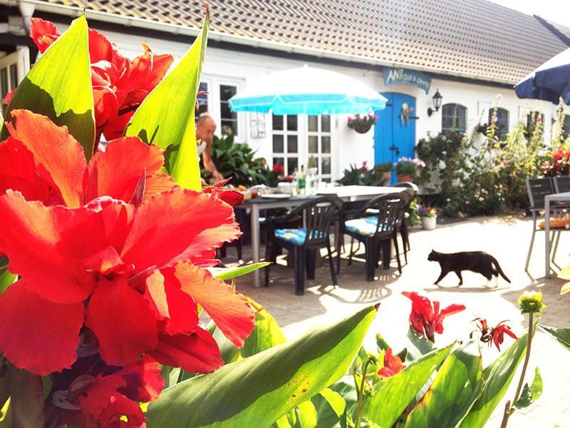 Myrehoj Bed & Breakfast Eskebjerg Exterior photo